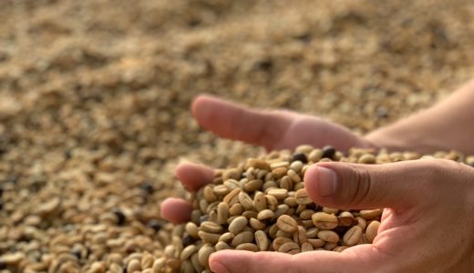 コーヒーの欠点豆って何？市販品にも混ざってるの？注意の仕方を解説