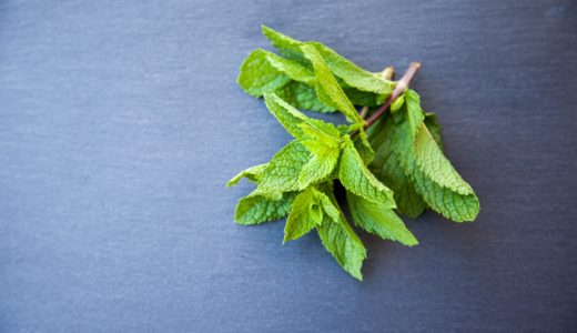 ミントコーヒーって何？どうやって作るのか、美味しいのかなどを解説