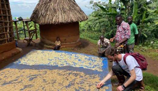 コーヒー豆の名前・種類の一覧、甘みや苦味等の特徴やおすすめの品種について